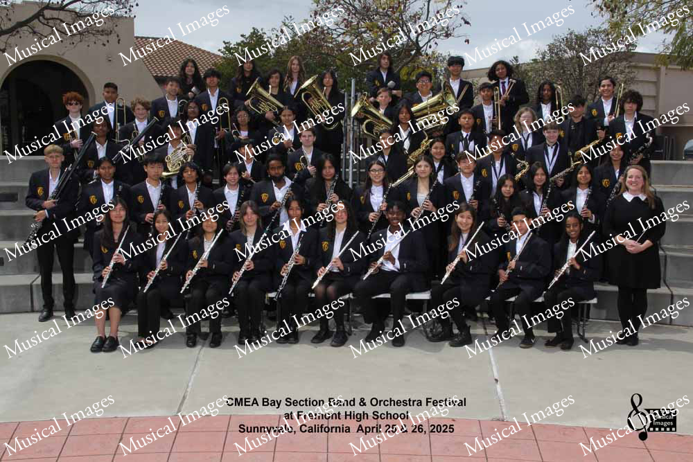 Musical Images